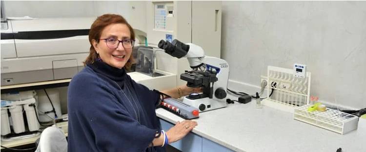 logo and about the company